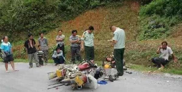 两鹅别离前亲吻成网红 朋友圈刷屏多个版本大结局网友共鸣