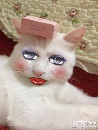 2016最红的网红逗逼美女 形似徐静蕾(20)-千龙