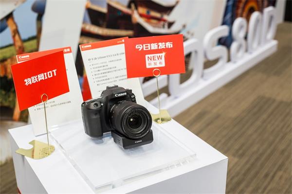 佳能EOS 80D-2