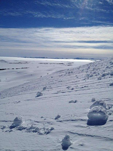 美国现罕见“雪卷”奇景外形精致如棉花糖（图）