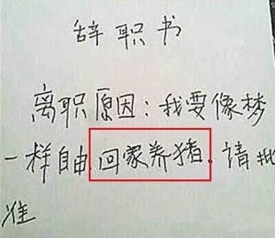 男子最走心辞职信：那些奇葩的请假条和辞职信 99%的老板都被打败了