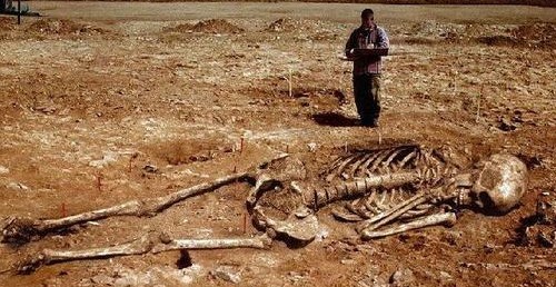 中国最邪门的24个神秘事:故宫多次闹鬼 北京修鸟巢强拆明朝娘娘庙遇怪事(7)-千龙网·中国首都网