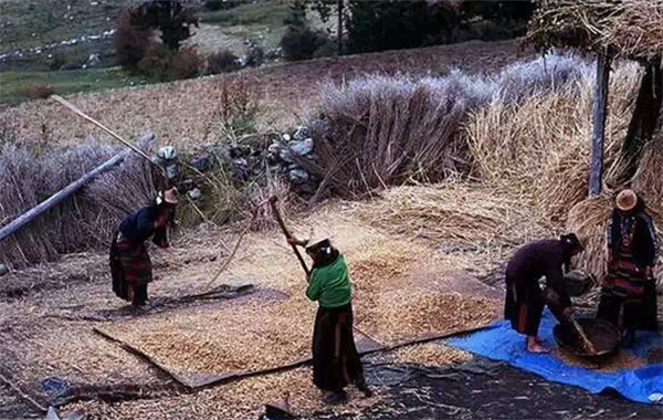 世界上唯一不与中国建交的邻国 竟是全球幸福