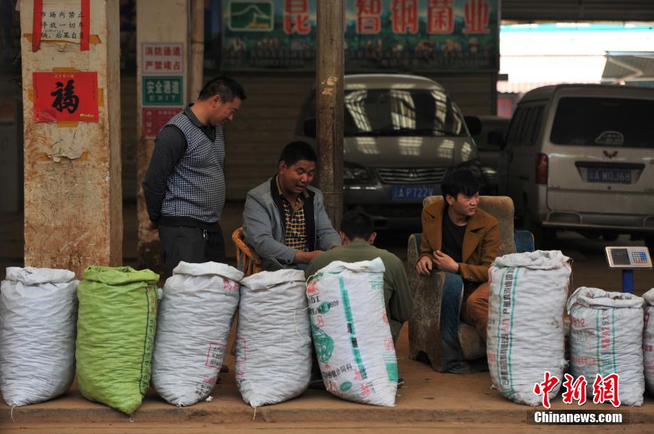 天价玛卡“神话破灭”卖出白菜价