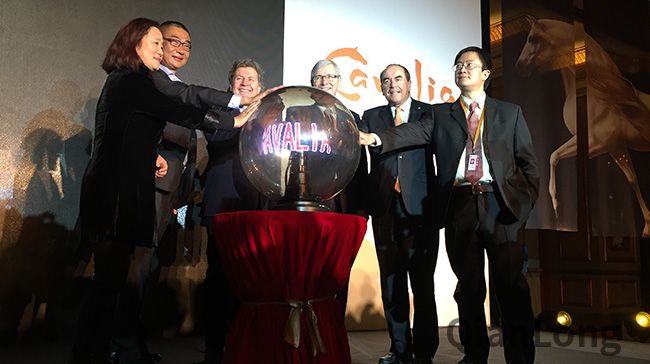 舞马发布会现场