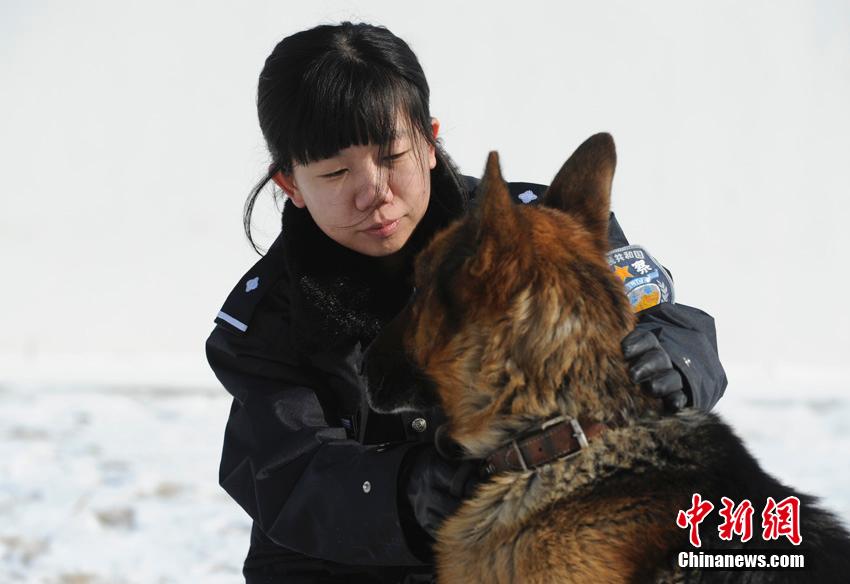 “85后”美女警犬训导员的繁忙春运