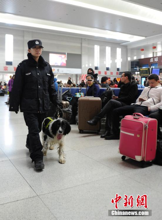 “85后”美女警犬训导员的繁忙春运