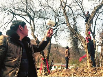 96ebd93189a409f1fb7b42b121fb0c1b