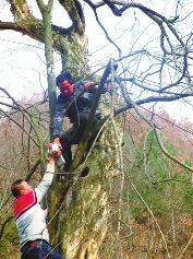 6ba70690e669a9e33effcada5bcaeb62