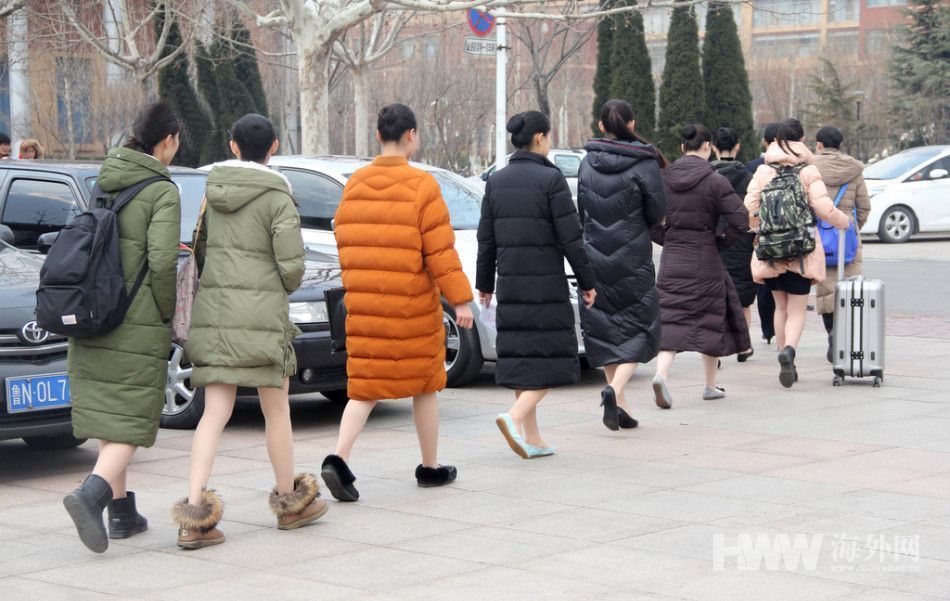 山东滨州：空乘招考现场美女如云