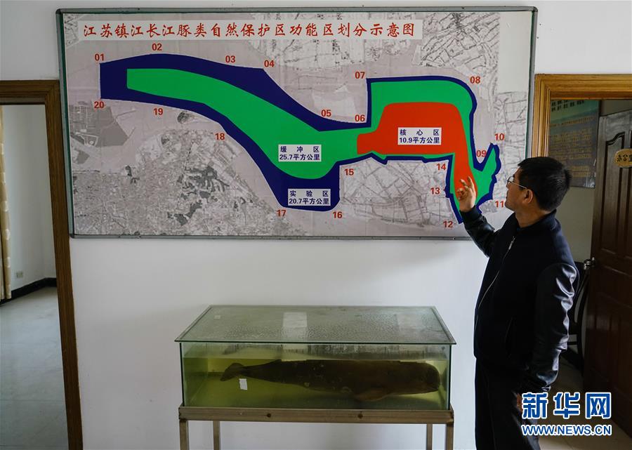 （生态）（2）给江豚一个安全的“港湾”