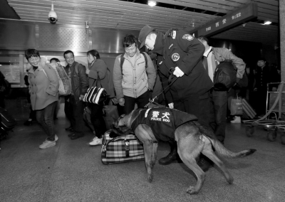 民警携警犬在火车站检查乘客行李。京华时报通讯员庞贺雷摄