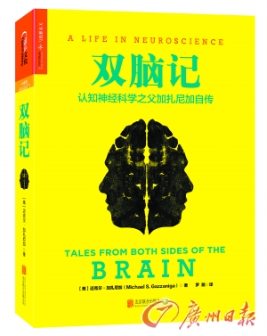 《双脑记》带你脑部科学大冒险-千龙网·中国