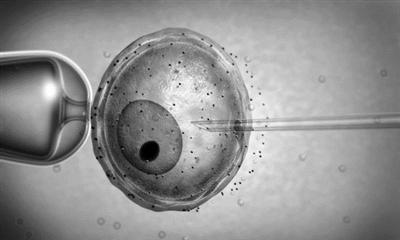 中国科学家培育出人造“精子细胞” 男人或将多余