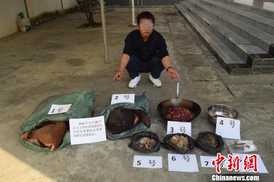 云南德宏森警破获餐馆非法杀害濒危野生动物案