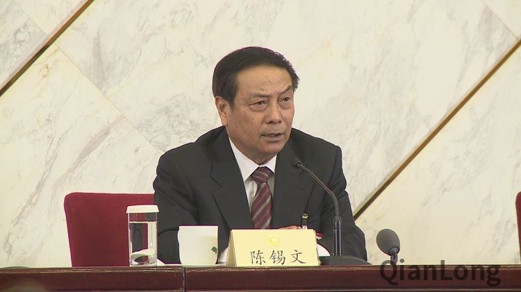 陈锡文