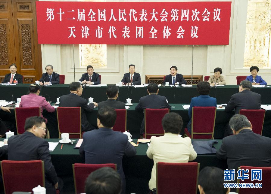 3月6日，中共中央政治局常委、国务院副总理张高丽参加十二届全国人大四次会议天津代表团的审议。新华社记者 王晔 摄
