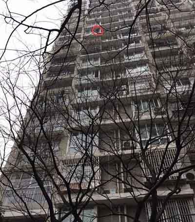 4岁女童从11楼阳台坠下 却自己爬了起来(图)