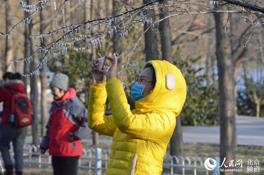 拍照的游人。人民网尹星云 摄