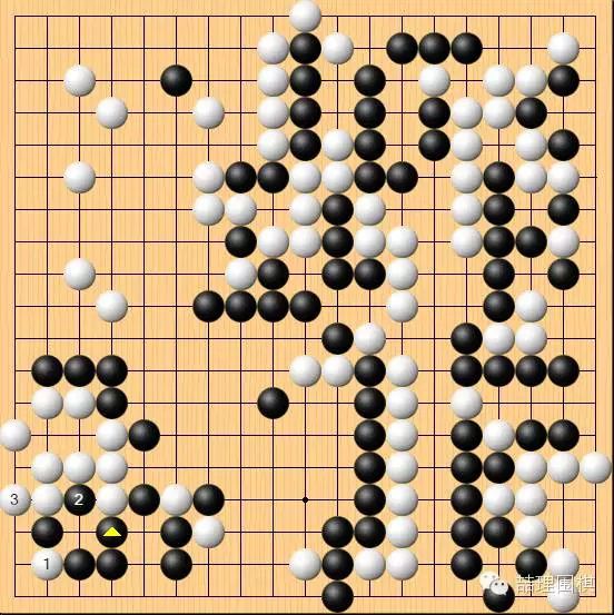 棋谱复盘人机大战