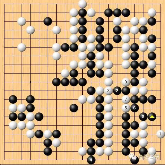 棋谱复盘人机大战