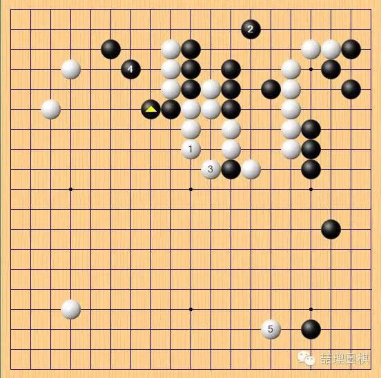 棋谱复盘人机大战