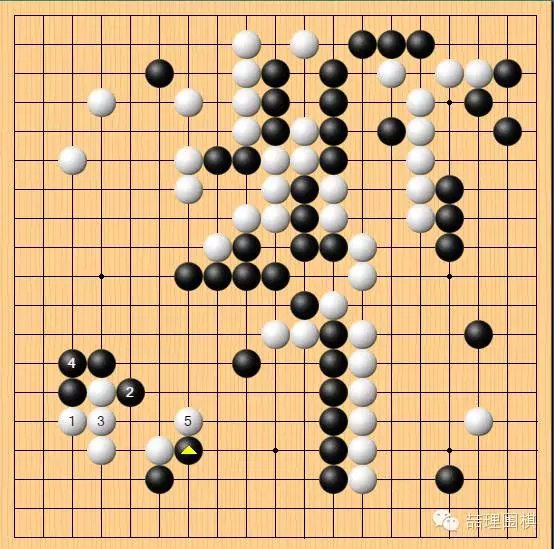 棋谱复盘人机大战