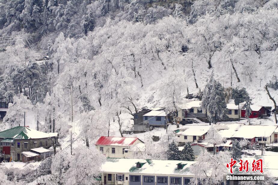 庐山罕见春雪雾凇同现 银装素裹如诗如画