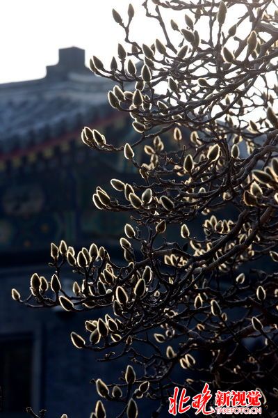 6S9A4007_调整大小