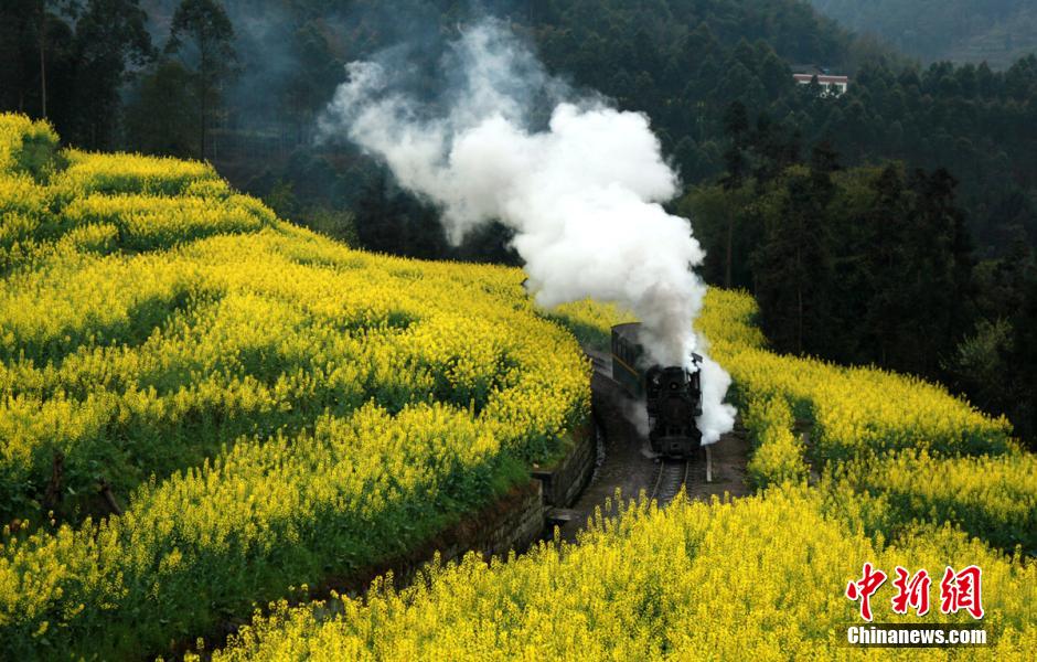 四川犍为阳春三月迎来“花季之旅”