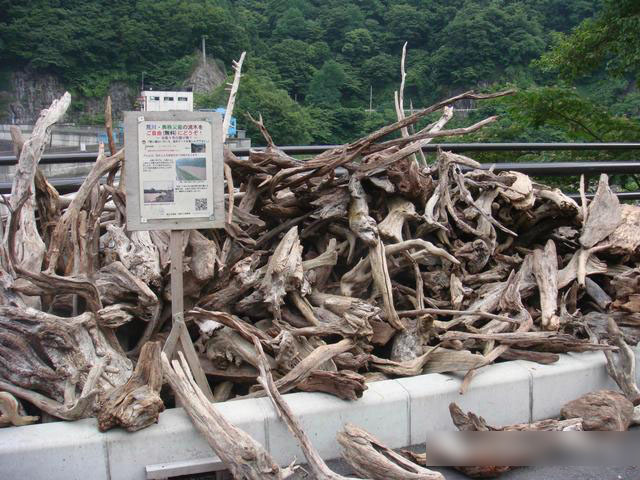 jk就是昆山女高中生的高中,只要给钱你就和这些意思们外出逛街日本大约学费多少少女图片