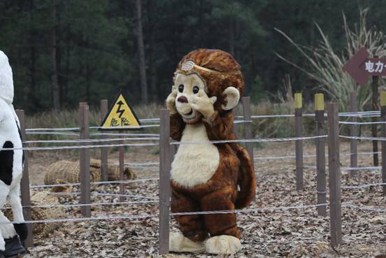 陈浩民兄妹亮相《疯狂的丛林》 段誉的妹妹长