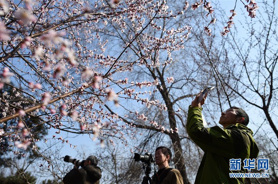 （晚报）（1）北京气温回暖 本周最高气温或达20摄氏度