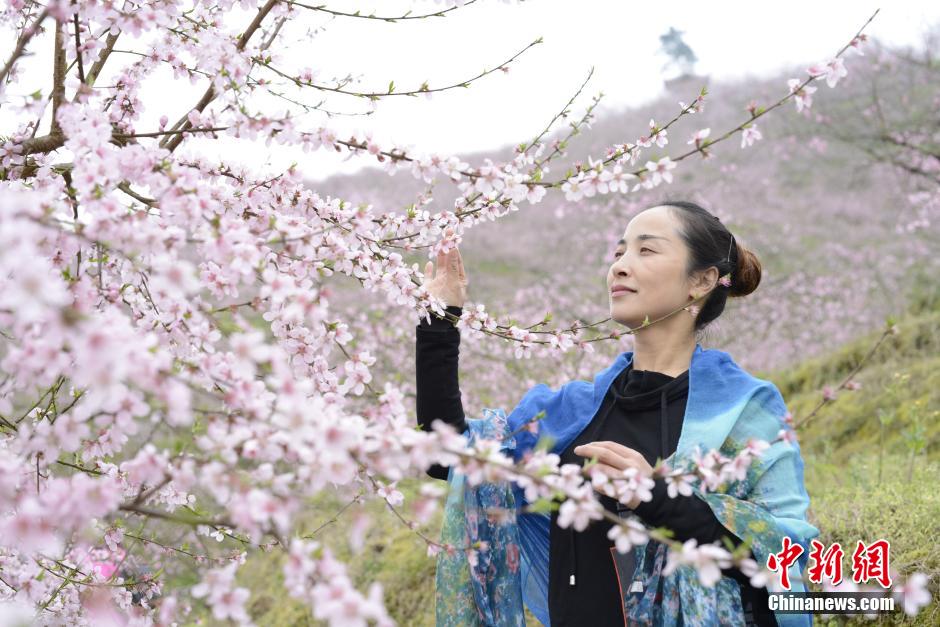 贵州镇远桃花园 春风得意百花艳