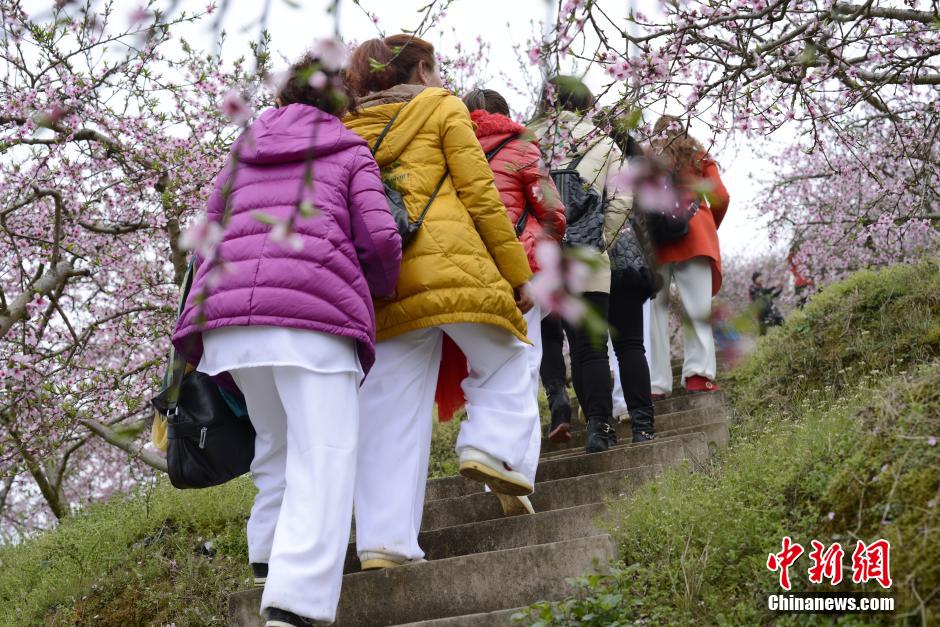 贵州镇远桃花园 春风得意百花艳