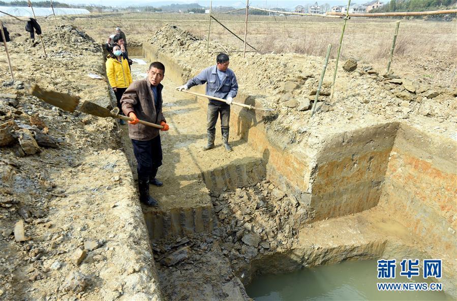 杭州发现中国已知最早水利工程 距今5000年