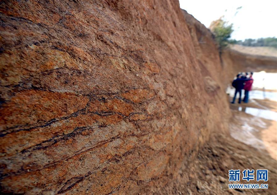 杭州发现中国已知最早水利工程 距今5000年