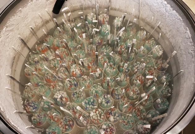 一个体积并不大的液氮精桶中可以存放3万份精子样本