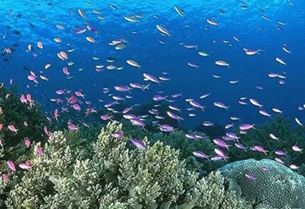 比马尔代夫更便宜又好玩的国内景点-千龙网·