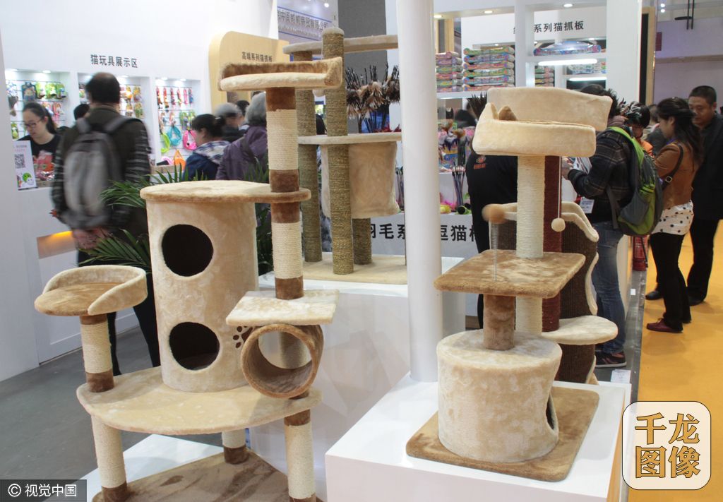 200余家企业宠物用品亮相北京(2)-千龙网·中