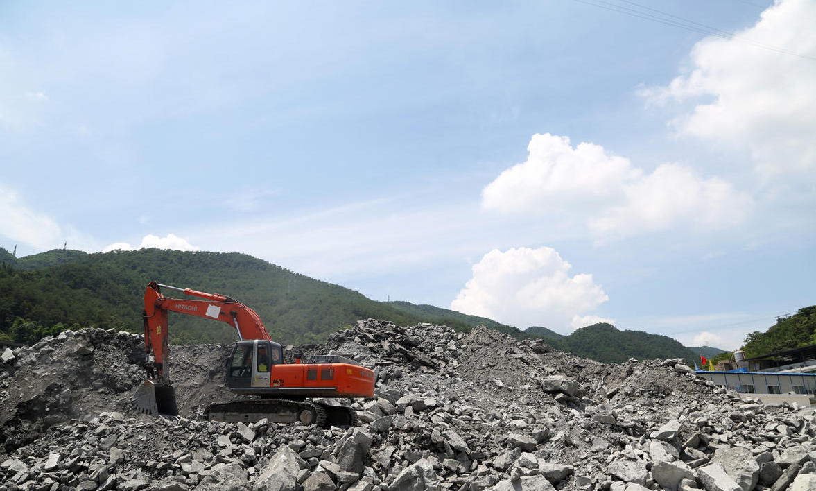 重庆发现大型木化石群落 或为一亿年前恐龙家园