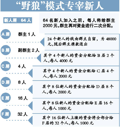 新传销微信群 野狼团队浮出水面 号称交2000