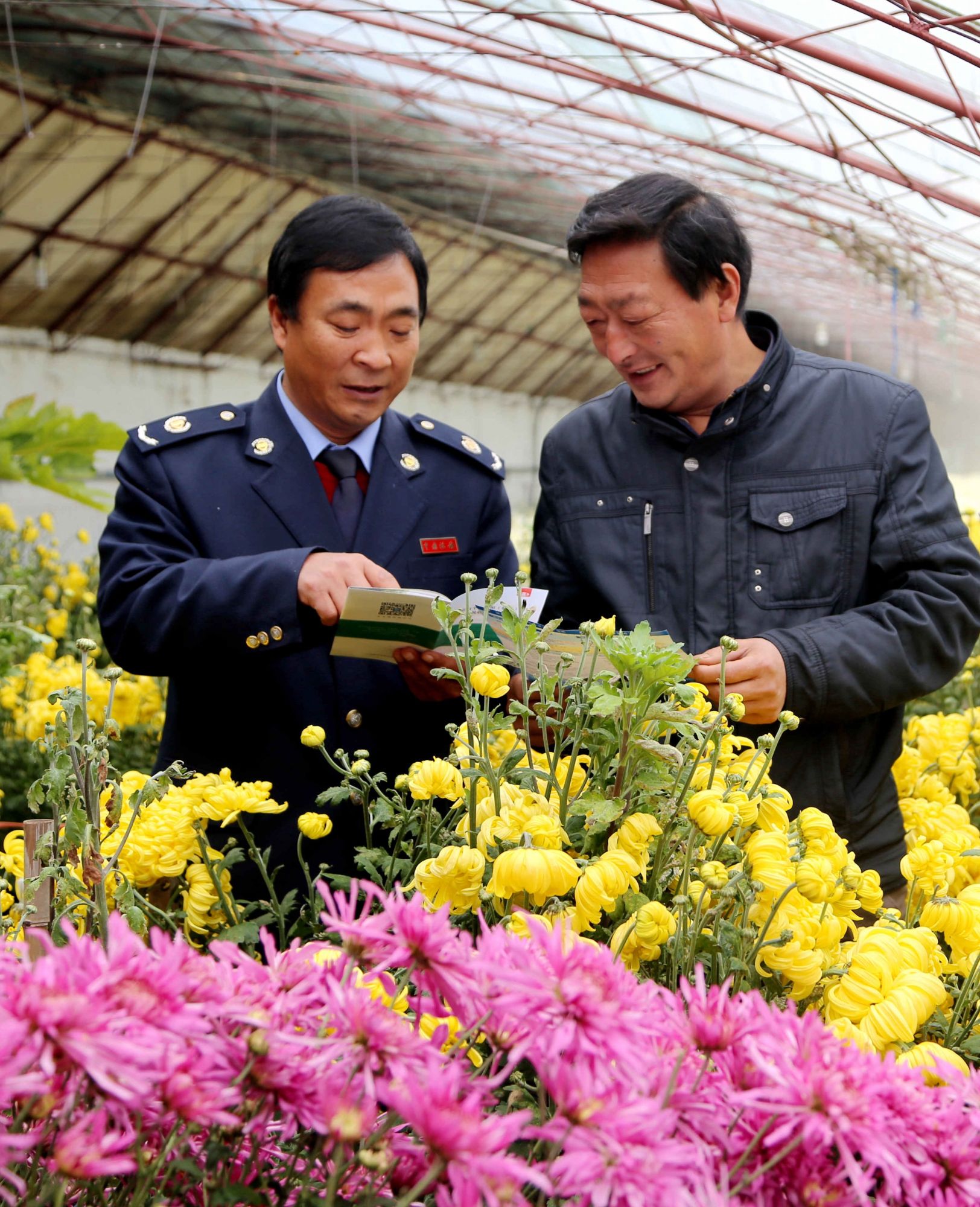 6.北京市平谷区地税局干部为西柏店菊花产销合作社社员提供税法咨询服务。