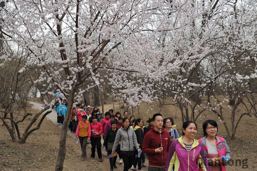 千龙网京华社区通讯员 麻团小丸子摄
