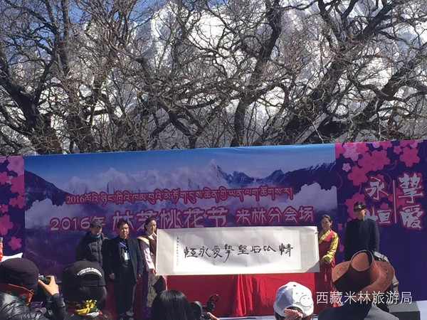 2016林芝桃花节米林县分会场开幕式隆重举办