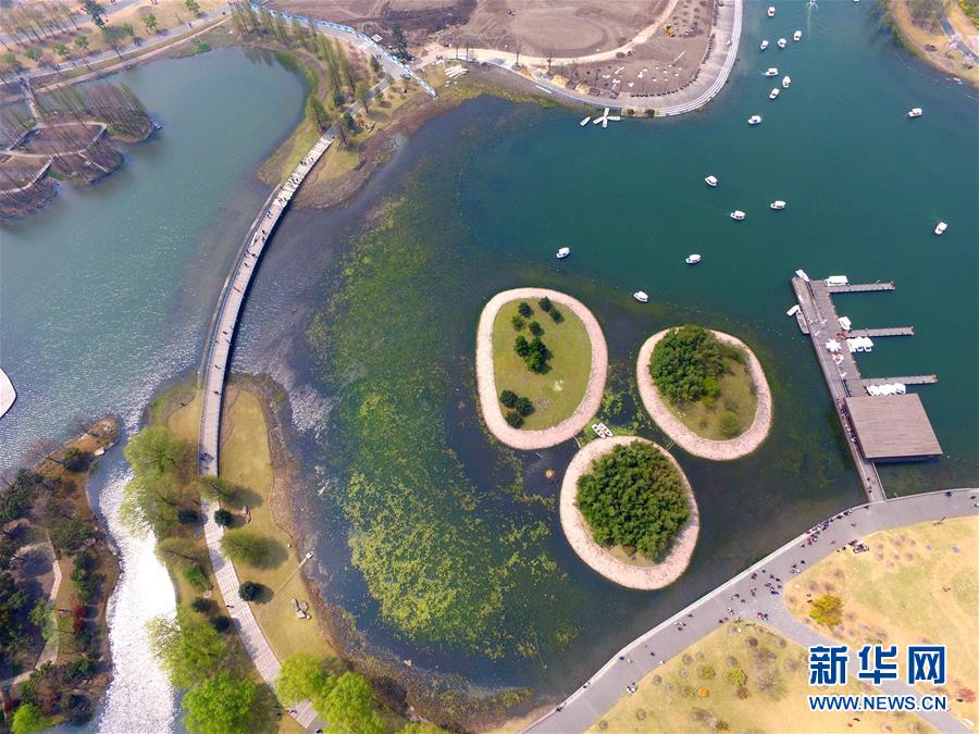（春季美丽生态）（5）春风又绿江南岸