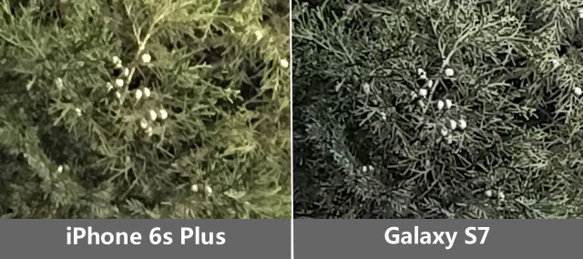 把握每个像素 三星S7/iPhone6sP拍照对比 