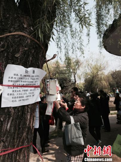 图为南昌市八一公园内，家长翻看单身男女征婚资料卡片。　刘占昆 摄