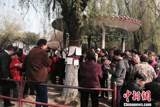 南昌现“父母代相亲”场景专家：寻缘还得亲自出马（图）