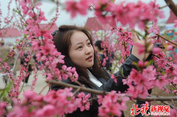 £¨Íí±¨£©£¨1£©Æ½¹ÈÌÒ»¨º£ÈÈÇéÓ­±ö